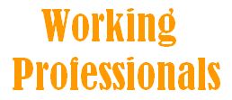 Nirvig client - working professionals